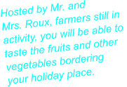 Hosted by Mr. and Mrs. Roux, farmers still in  activity, you will be able to  taste the fruits and other vegetables bordering your holiday place.