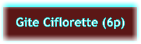 Gite Ciflorette (6p)
