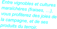 Entre vignobles et cultures  marachres (fraises, ),  vous profiterez des joies de la campagne, et de ses  produits du terroir.